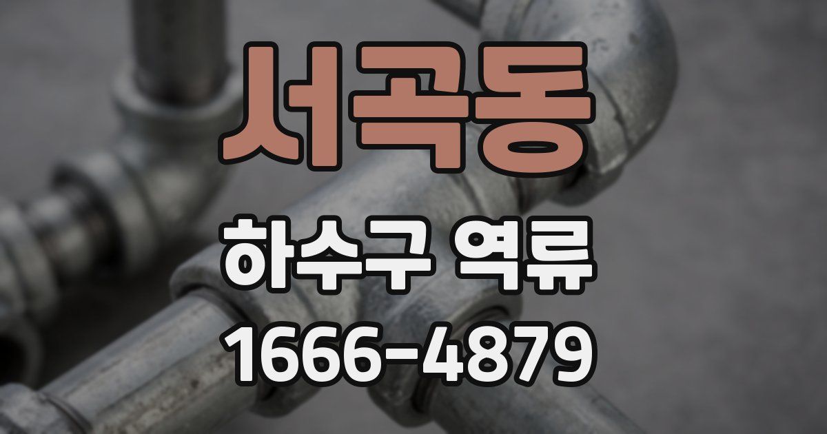 서곡동 하수구 역류