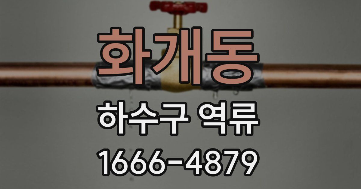 화개동 하수구 역류