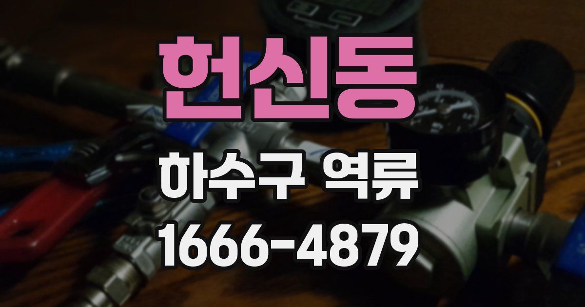 헌신동 하수구 역류