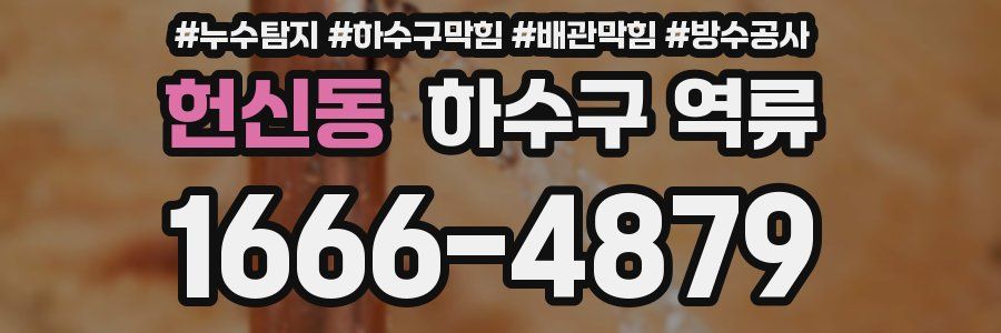 헌신동 하수구 역류