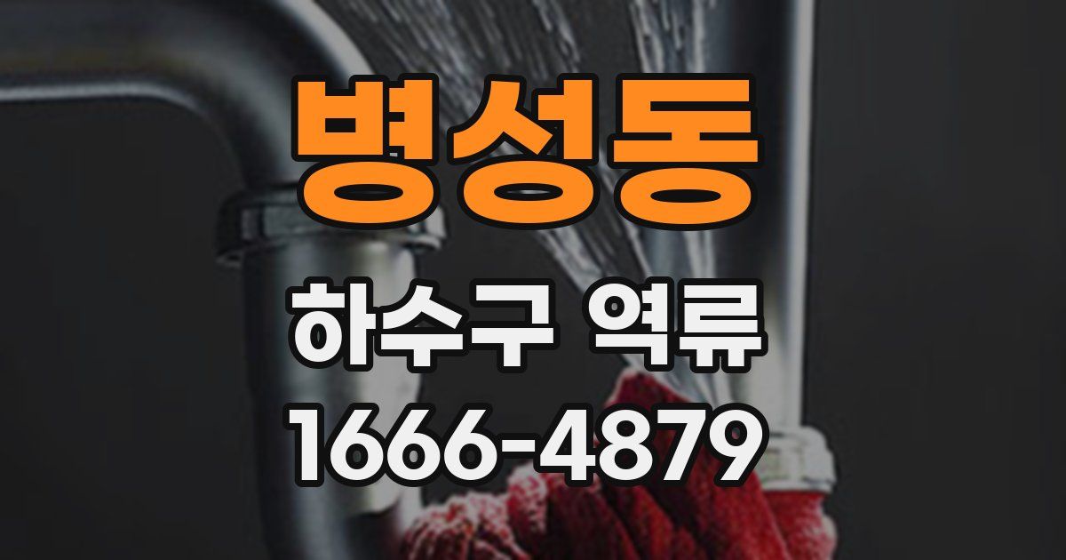 병성동 하수구 역류