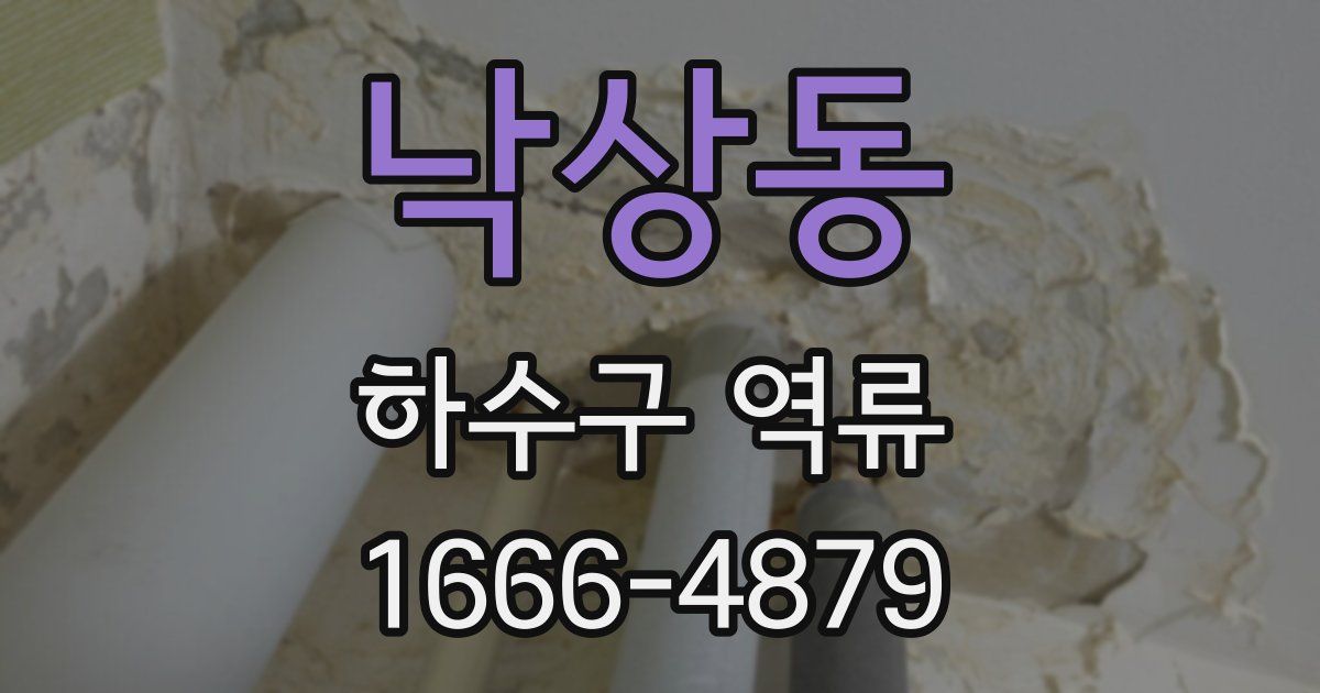 낙상동 하수구 역류