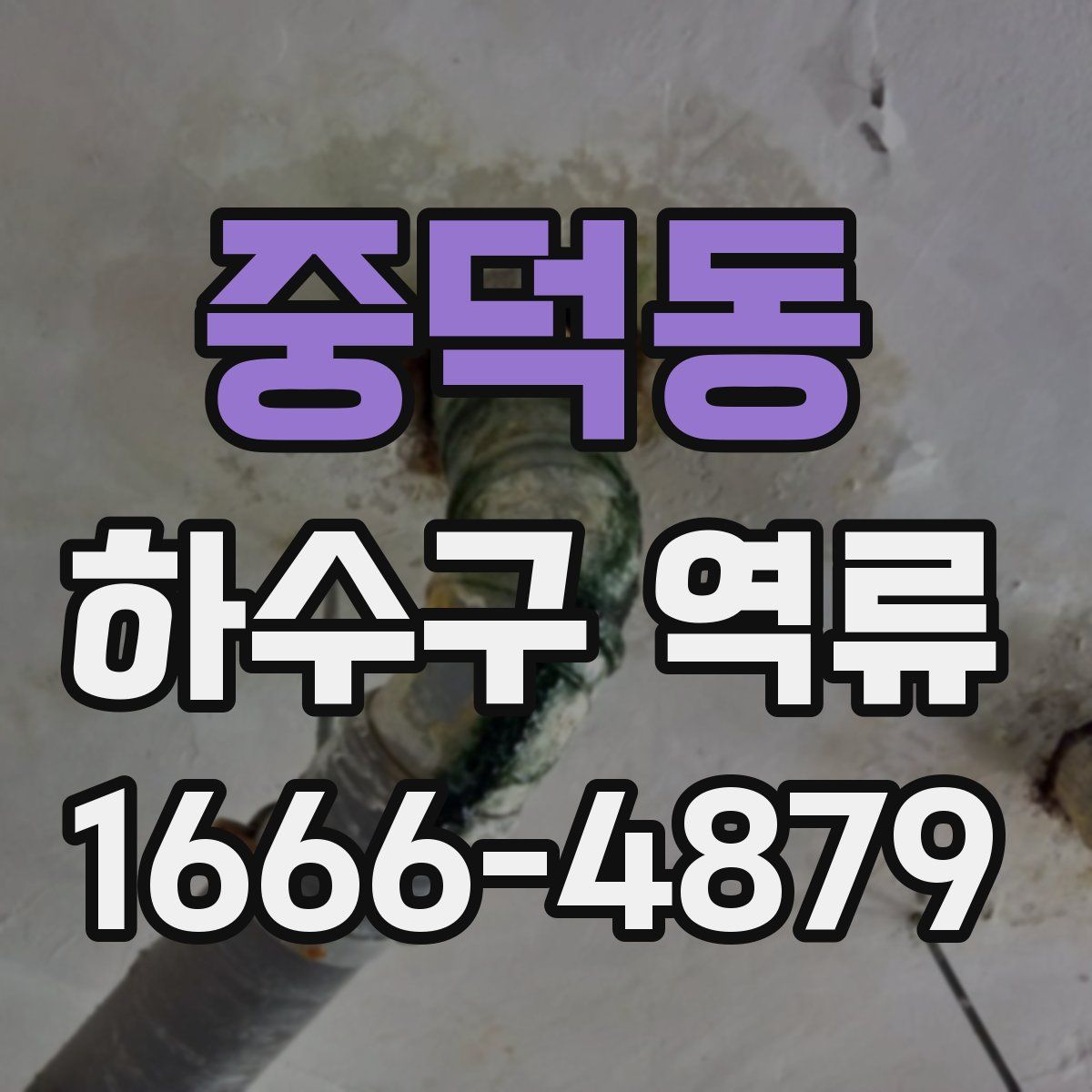 중덕동 하수구 역류