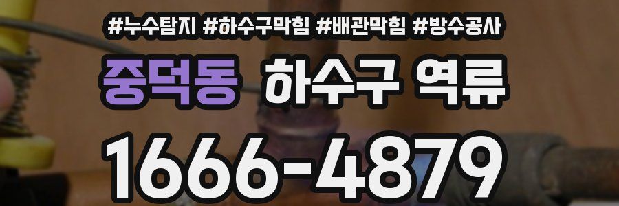 중덕동 하수구 역류