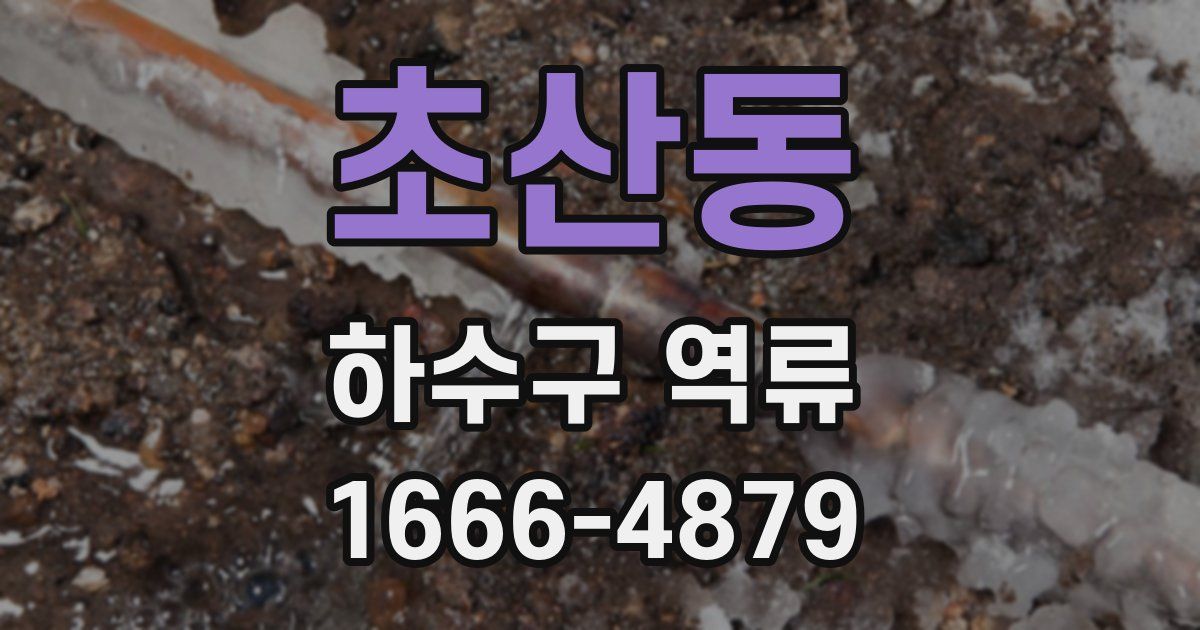 초산동 하수구 역류