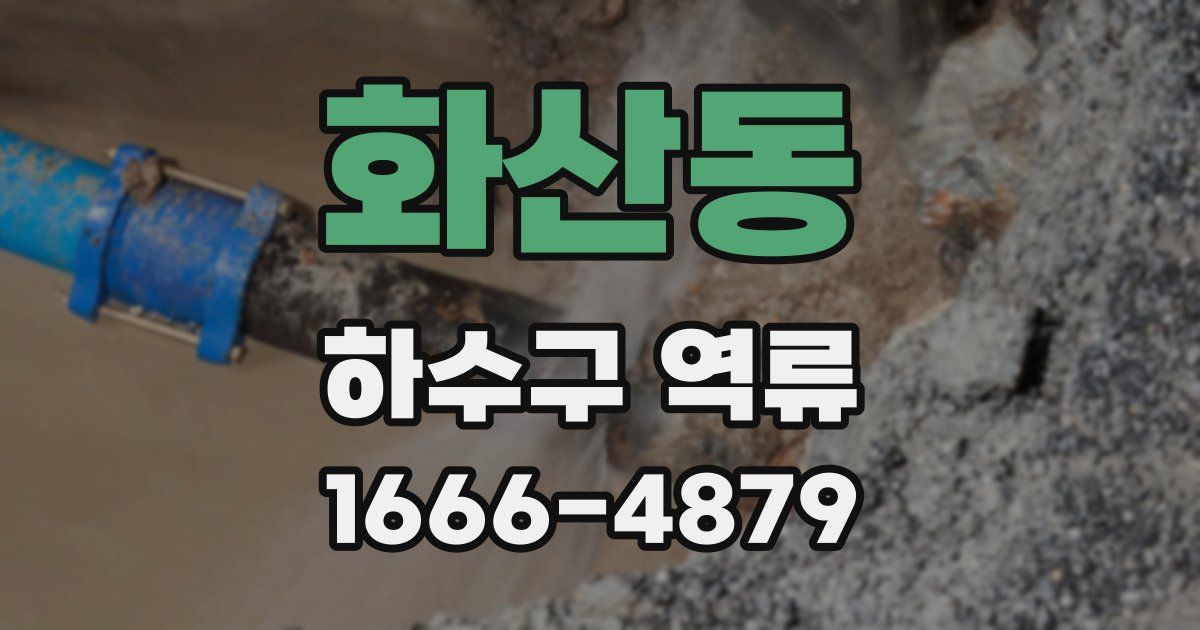 화산동 하수구 역류