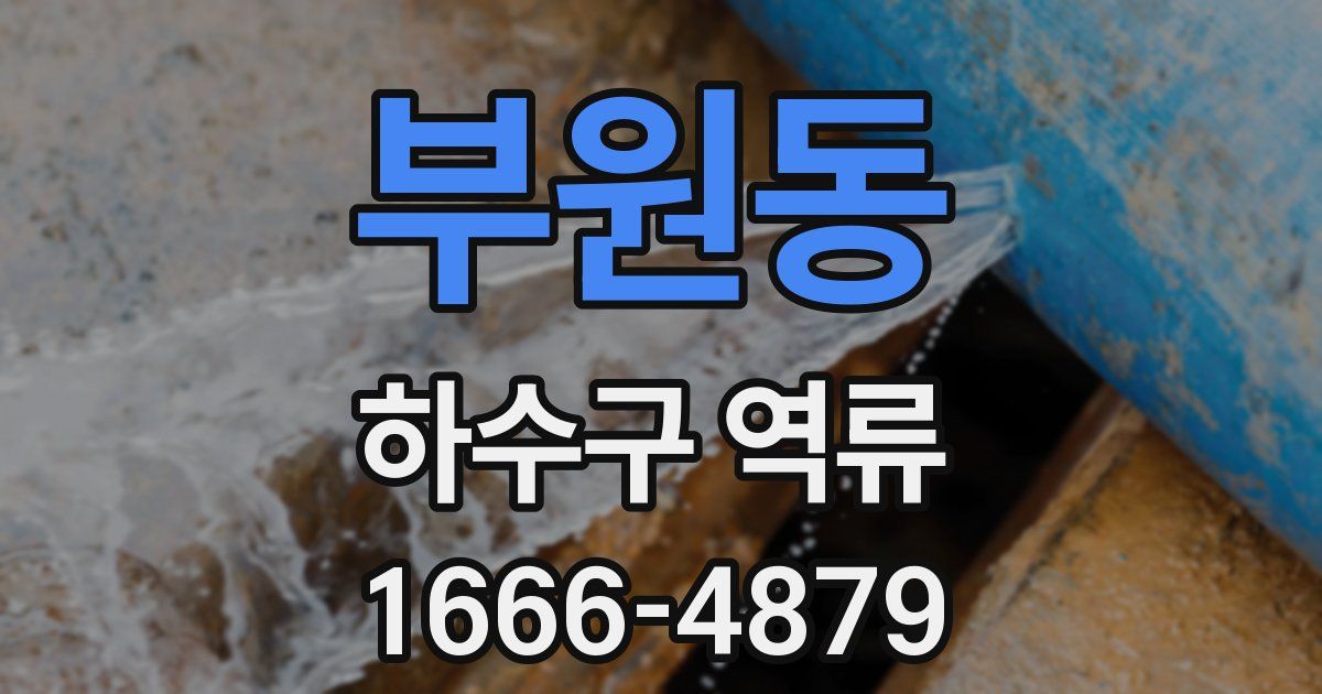 부원동 하수구 역류