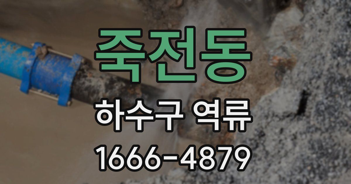 죽전동 하수구 역류