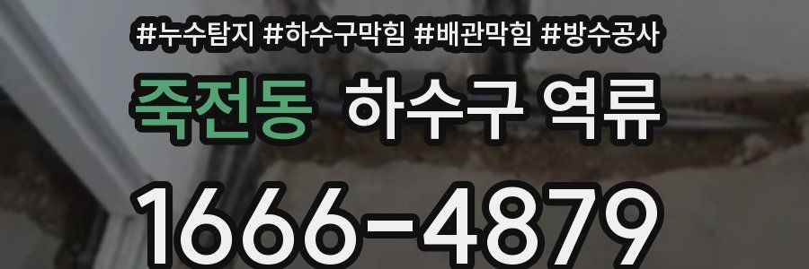 죽전동 하수구 역류