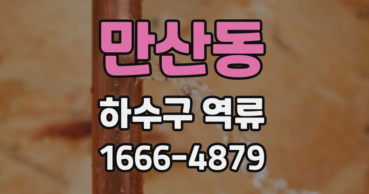만산동 하수구 역류