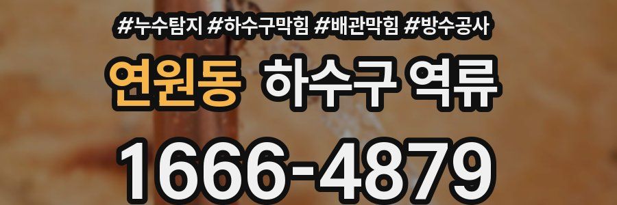 연원동 하수구 역류
