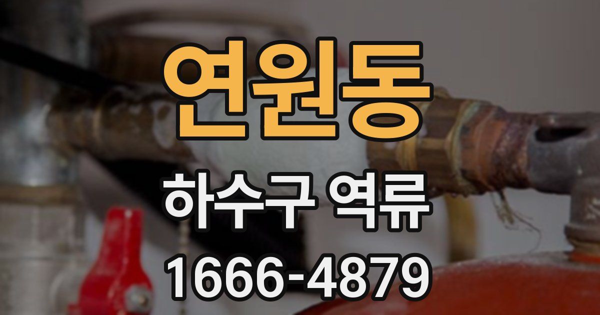 연원동 하수구 역류