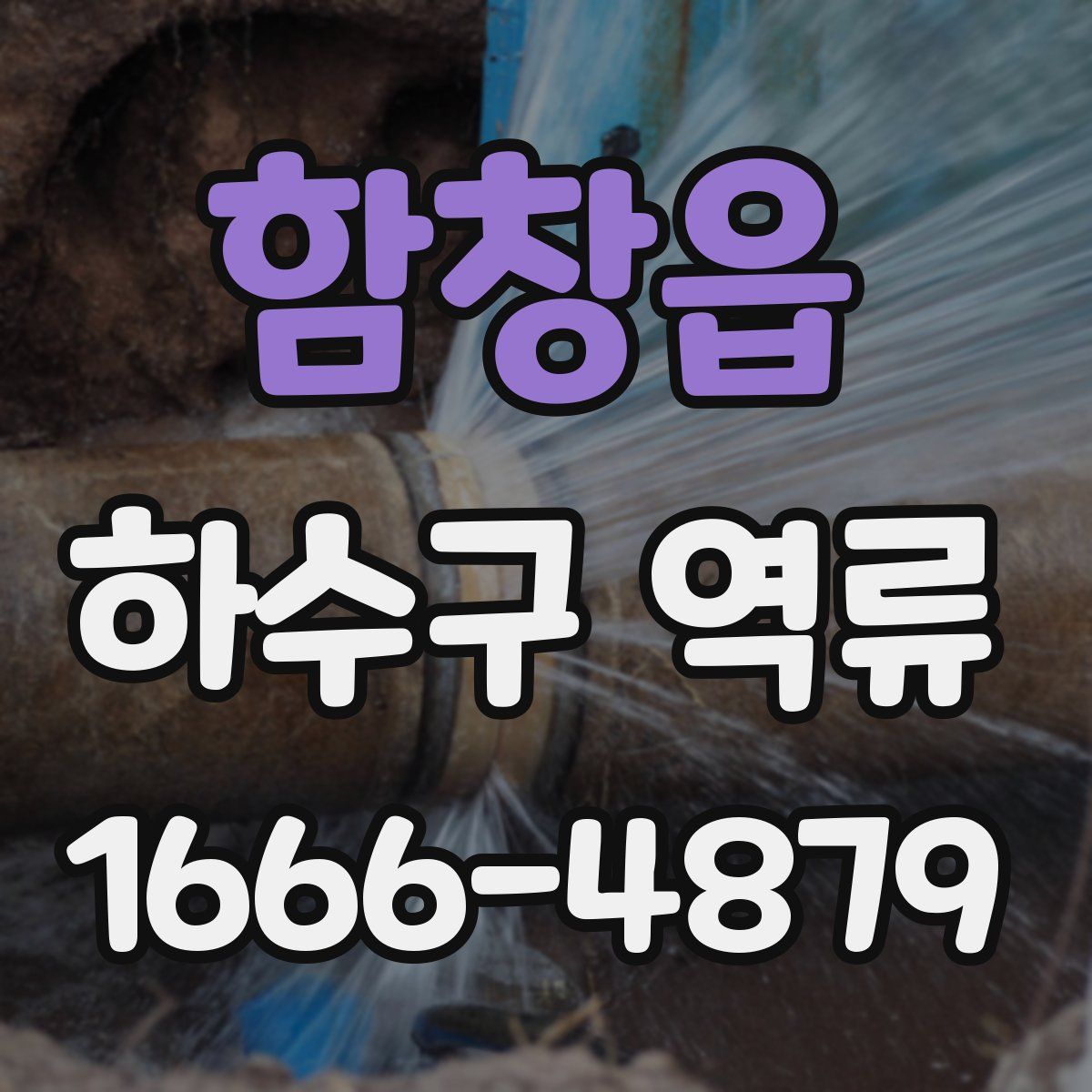 함창읍 하수구 역류