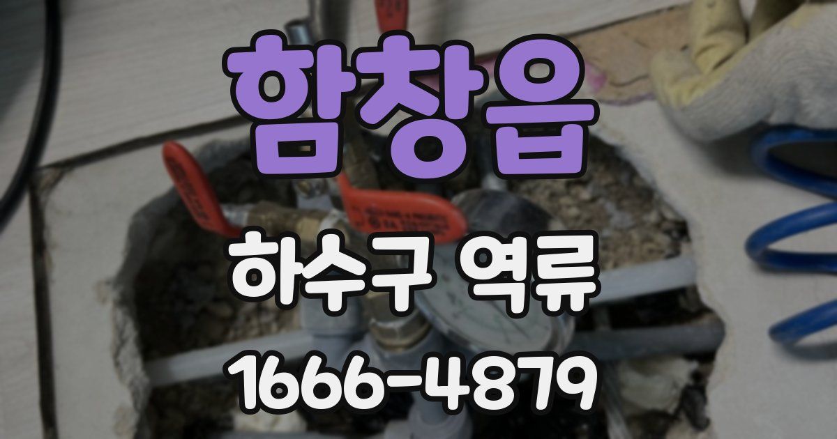 함창읍 하수구 역류