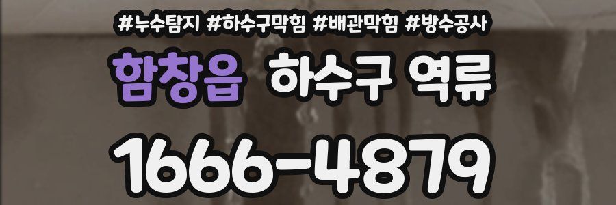 함창읍 하수구 역류