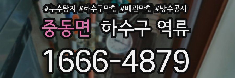 중동면 하수구 역류