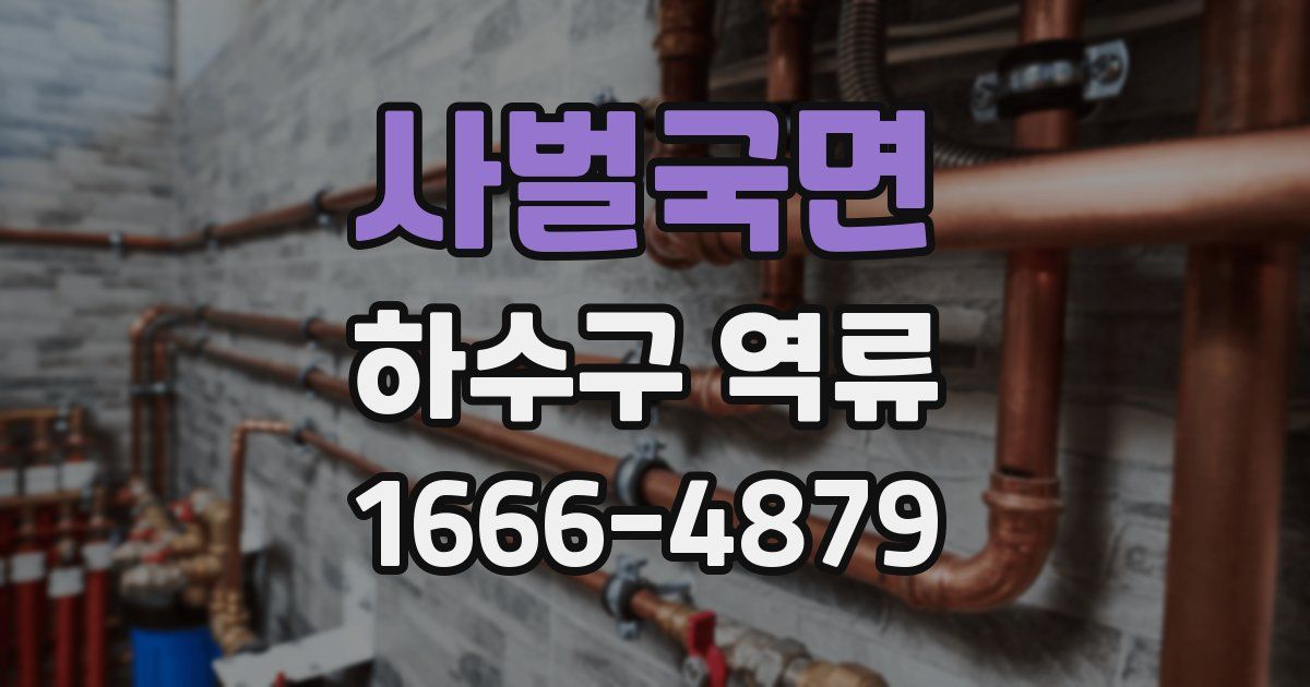 사벌국면 하수구 역류