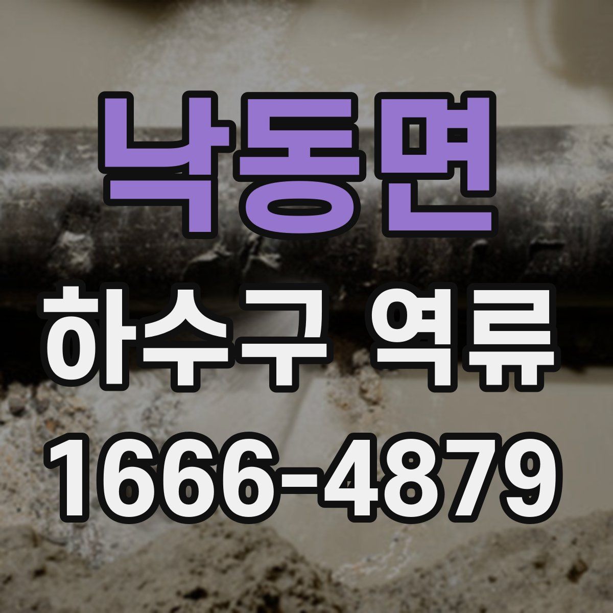 낙동면 하수구 역류