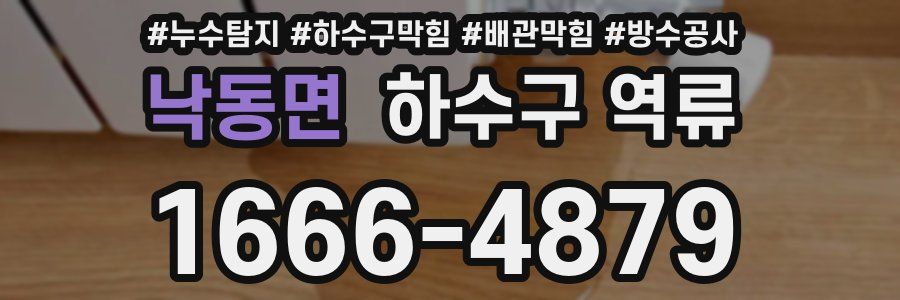 낙동면 하수구 역류