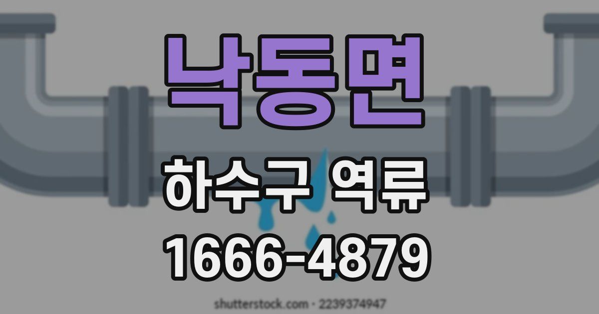 낙동면 하수구 역류