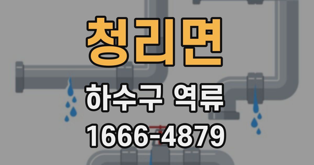 청리면 하수구 역류