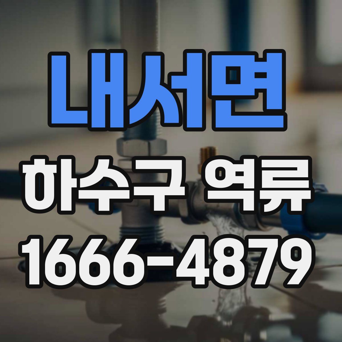 내서면 하수구 역류