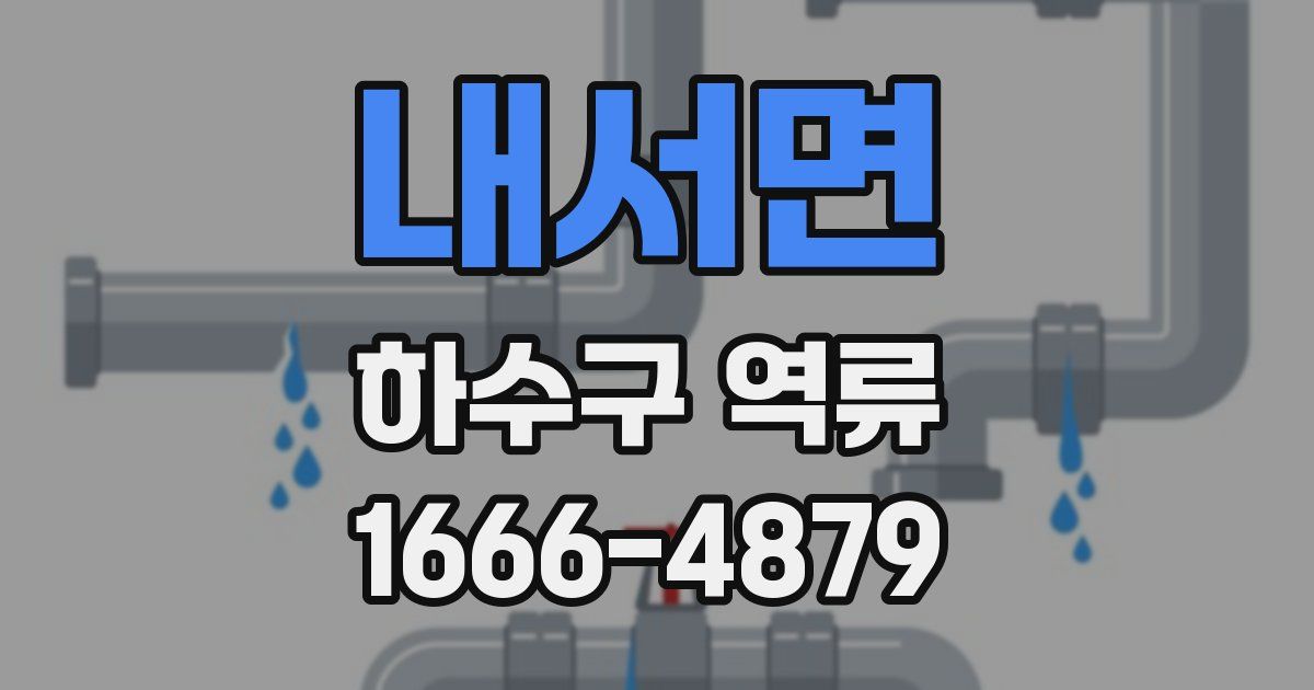 내서면 하수구 역류