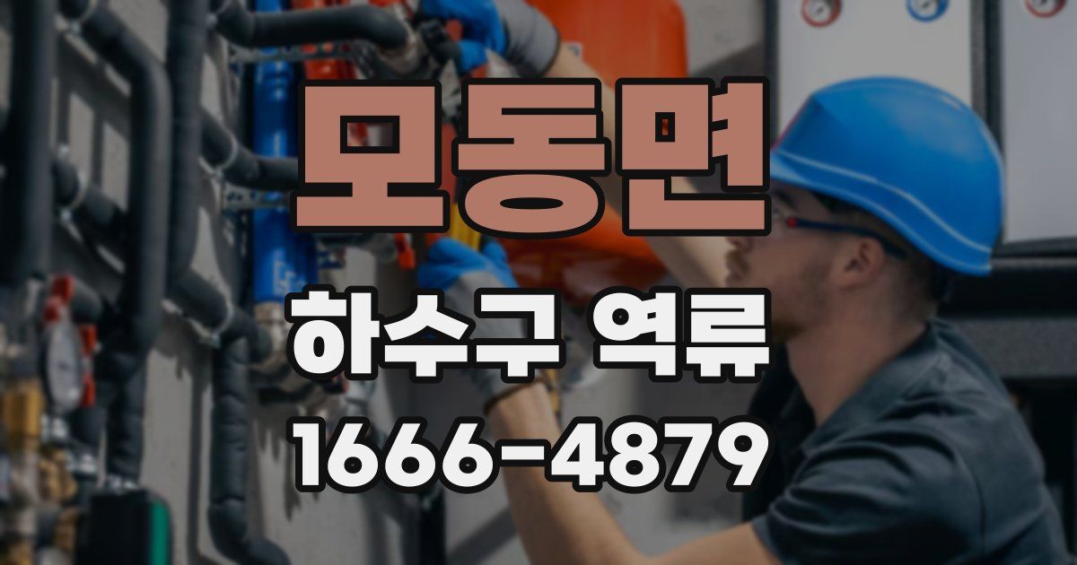 모동면 하수구 역류