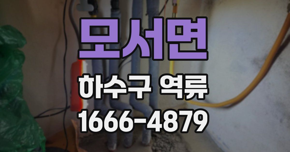 모서면 하수구 역류