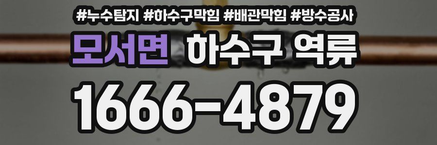 모서면 하수구 역류