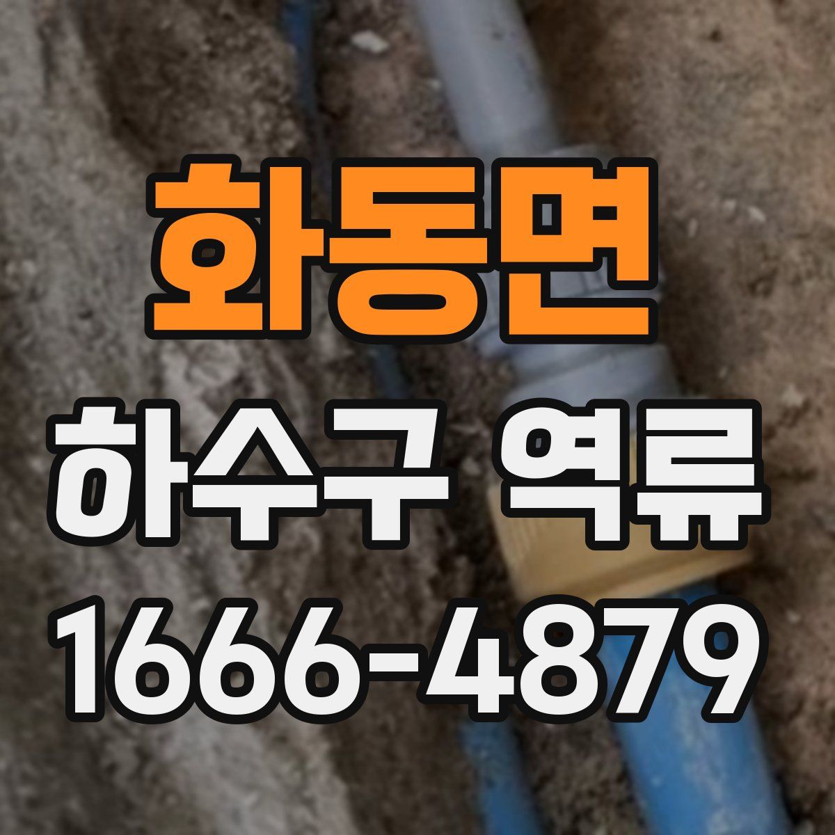 화동면 하수구 역류