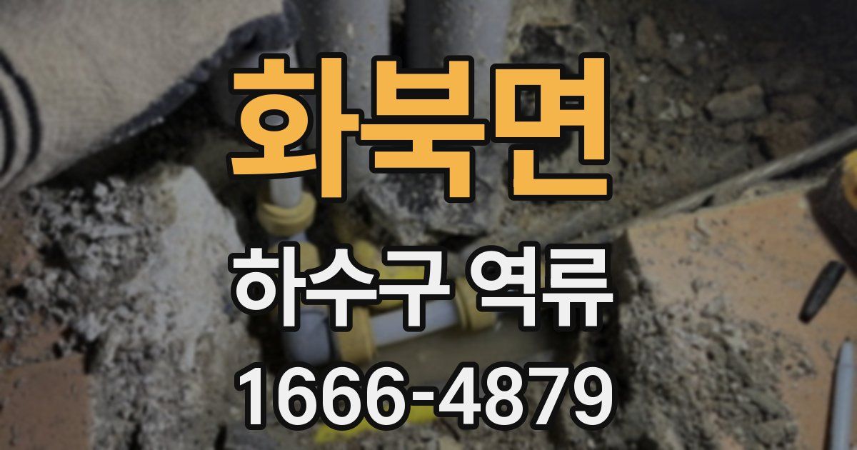 화북면 하수구 역류