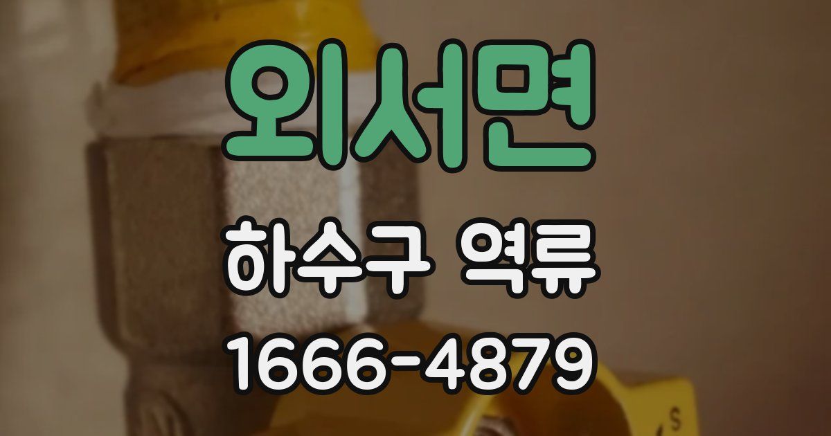 외서면 하수구 역류