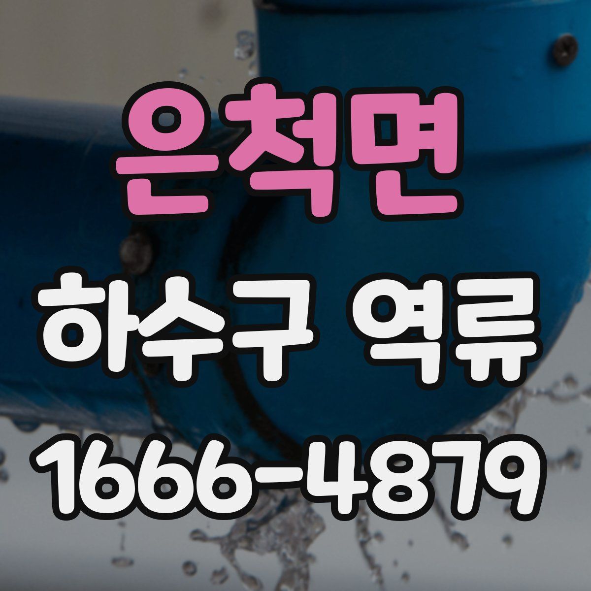 은척면 하수구 역류