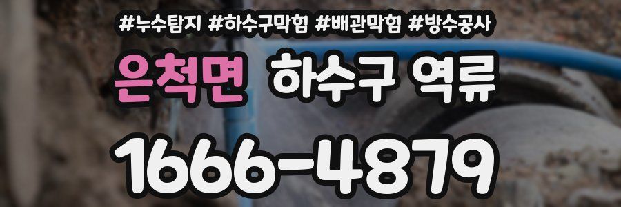 은척면 하수구 역류