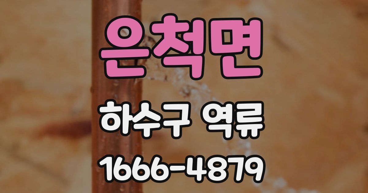 은척면 하수구 역류