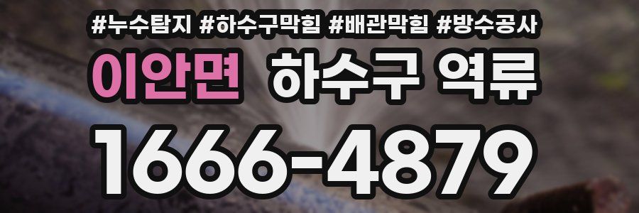이안면 하수구 역류
