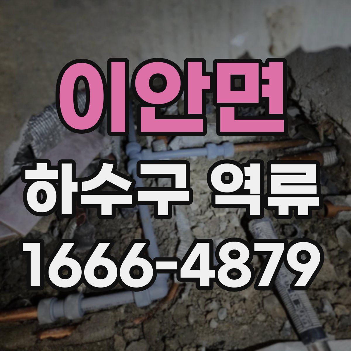 이안면 하수구 역류