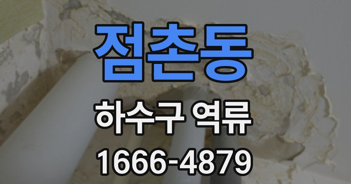 점촌동 하수구 역류