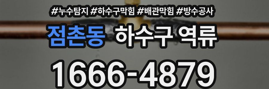 점촌동 하수구 역류