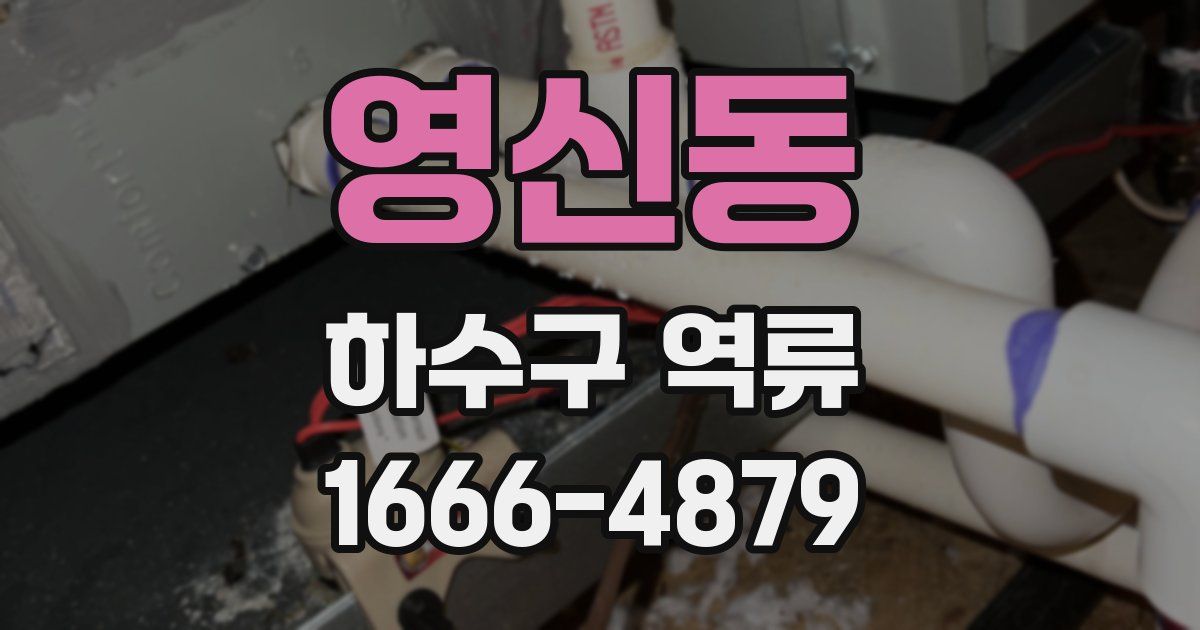 영신동 하수구 역류