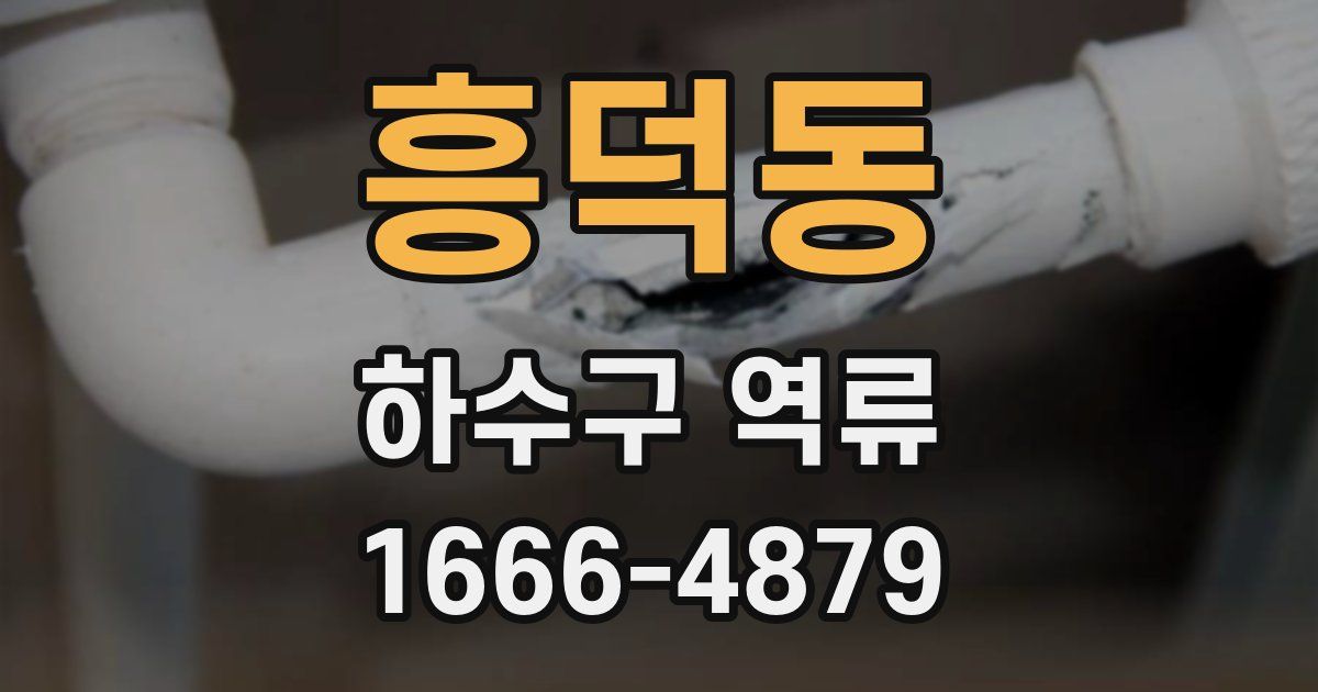 흥덕동 하수구 역류
