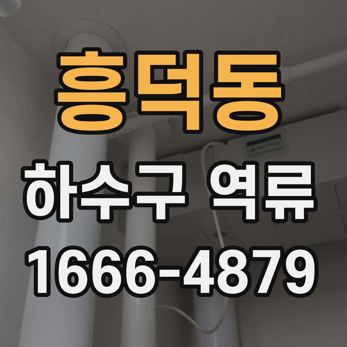 흥덕동 하수구 역류