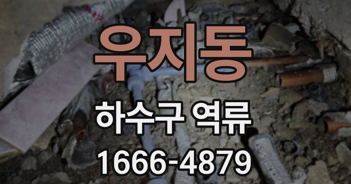우지동 하수구 역류