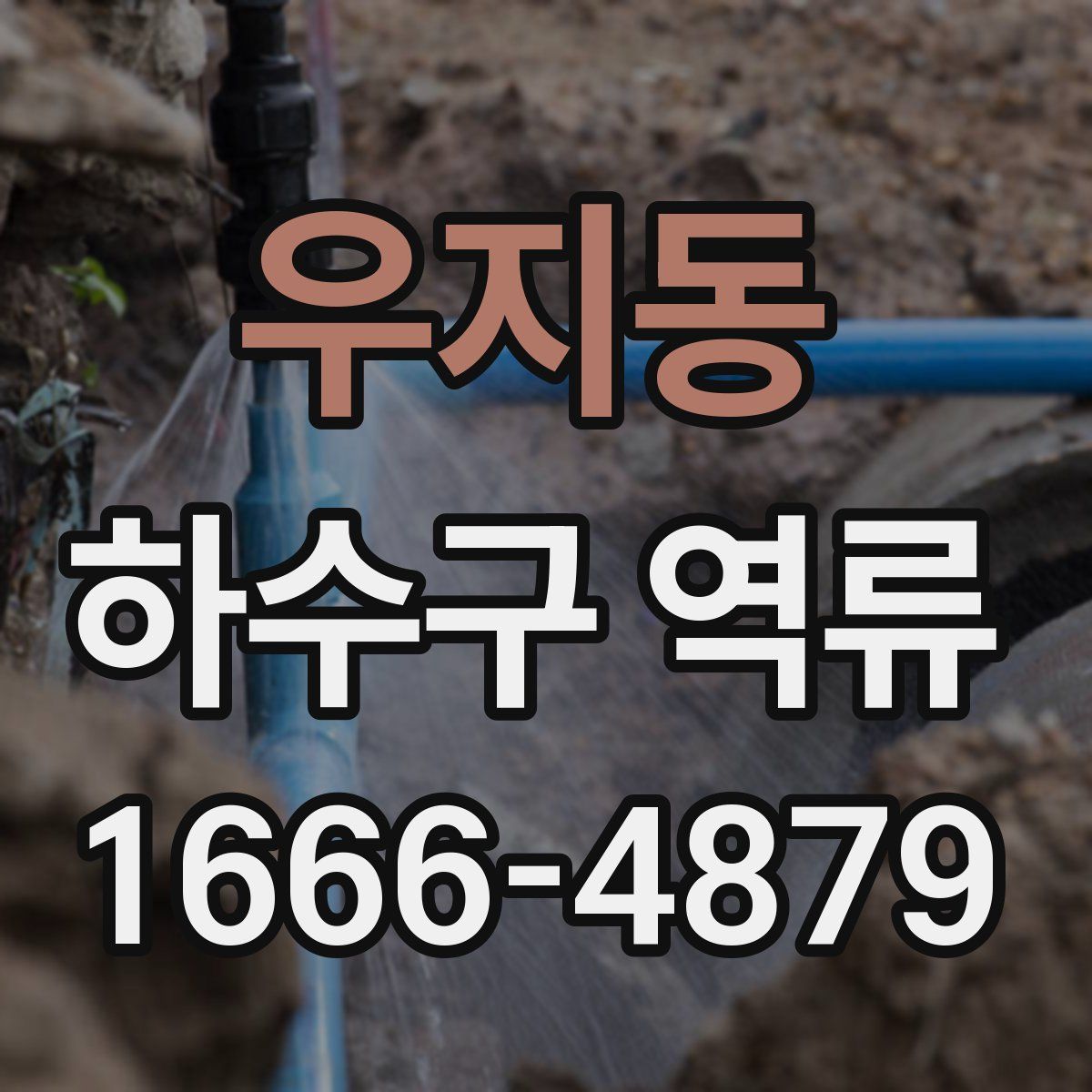 우지동 하수구 역류