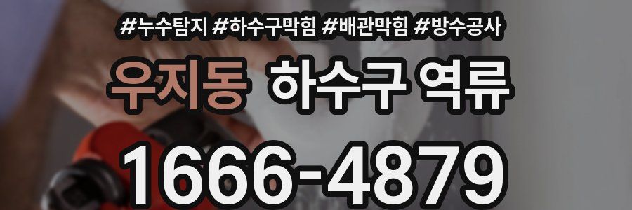 우지동 하수구 역류