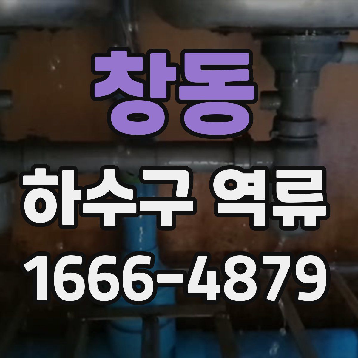 창동 하수구 역류