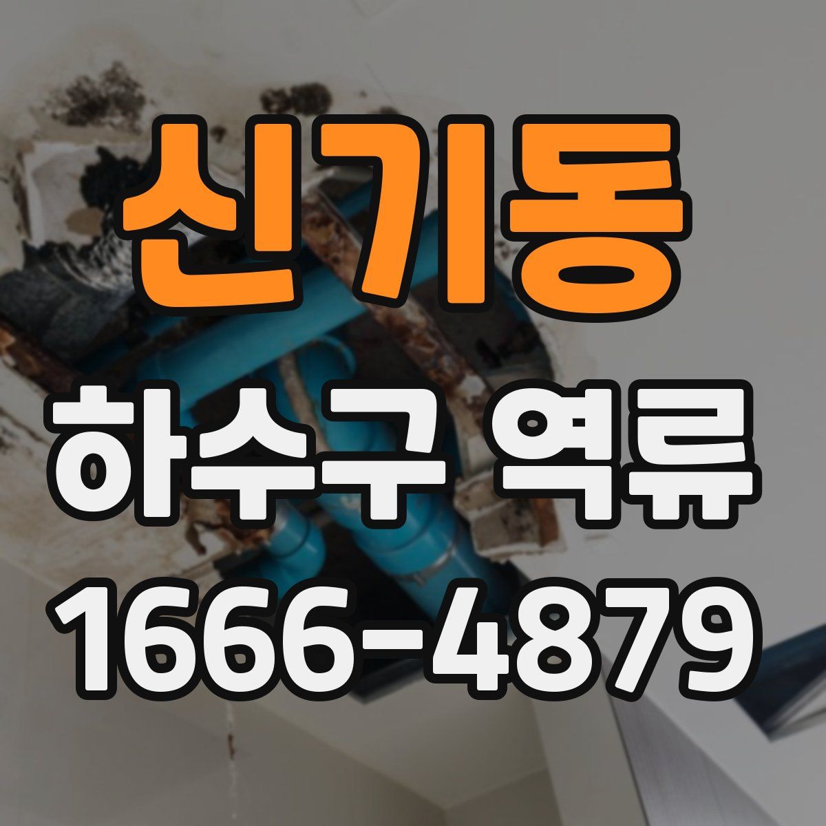 신기동 하수구 역류