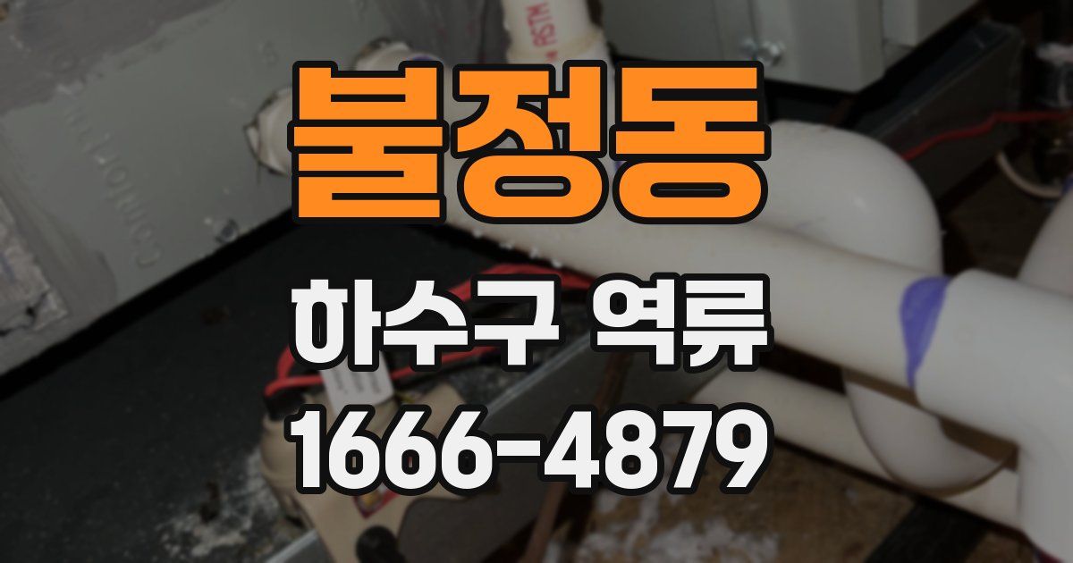 불정동 하수구 역류