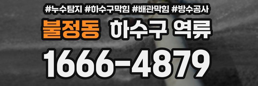 불정동 하수구 역류